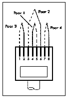 RJ-45 Stecker